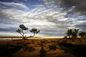 Befor Sunset, Simpson Desert, Australien